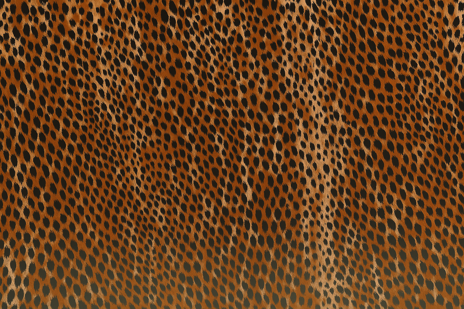Cheetah curtain