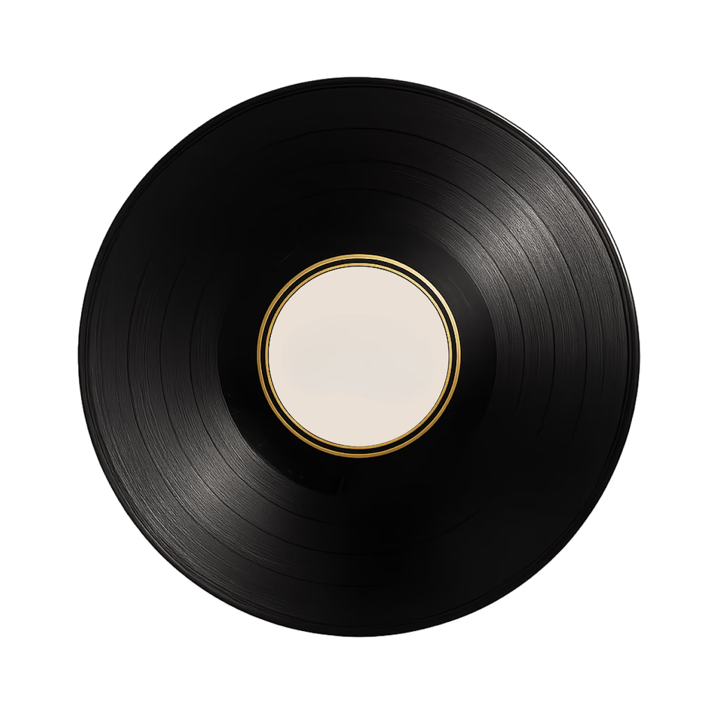 Vinyl record